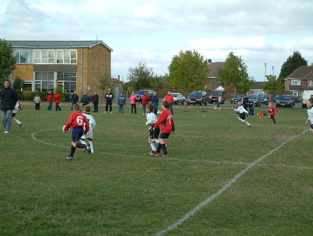 badgers001.jpg