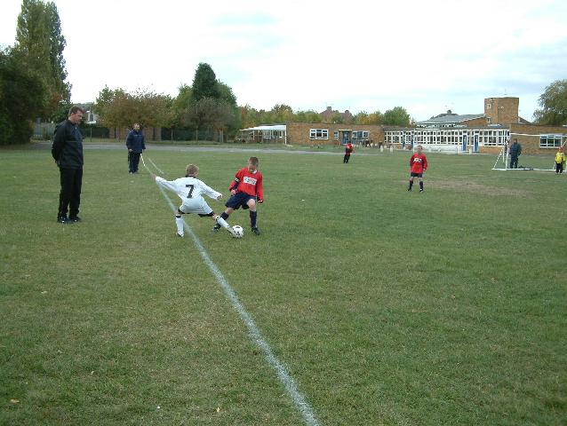 badgers002.jpg