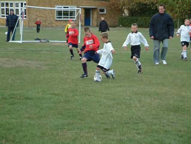 badgers003.jpg