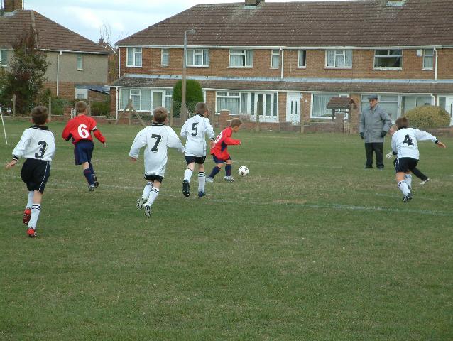 badgers004.jpg