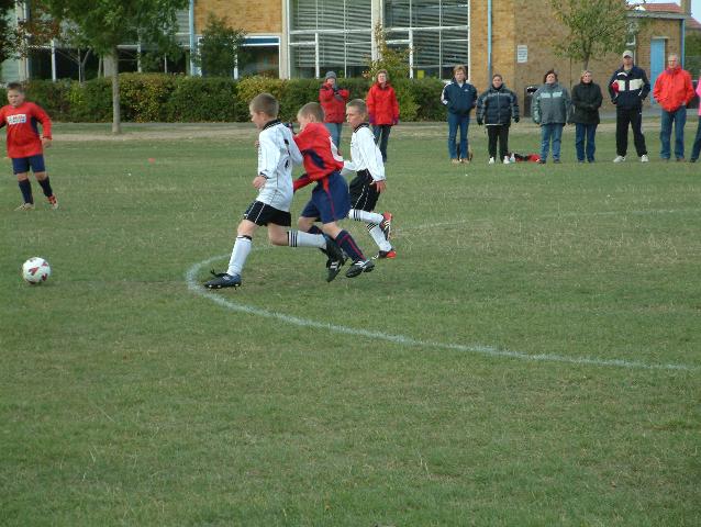 badgers005.jpg