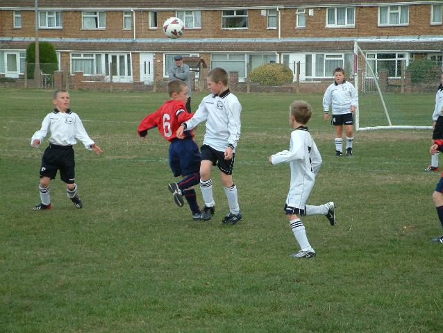 badgers006.jpg