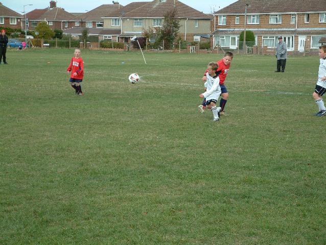 badgers008.jpg