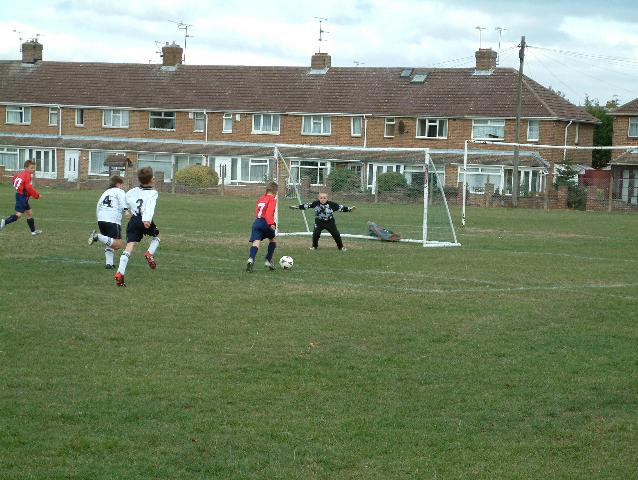 badgers009.jpg