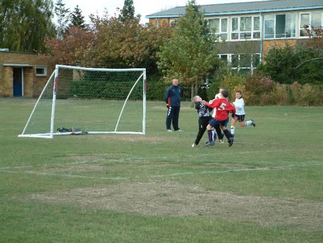 badgers011.jpg