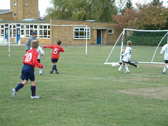 badgers012.jpg