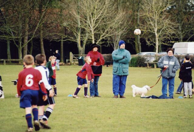 badgers003.jpg